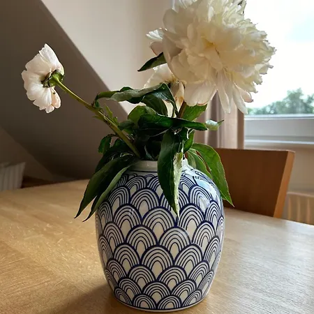 Apartamento Lichtdurchflutete Dachgeschosswohnung In Uninaehe *