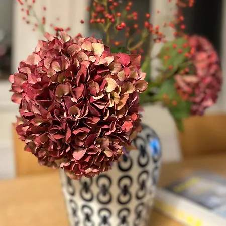 Lichtdurchflutete Dachgeschosswohnung In Uninaehe Oldemburgo